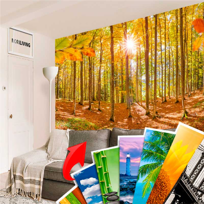 Wohnzimmer mit einer großen Waldtapete und mehreren kleinen bunten Wandbildern